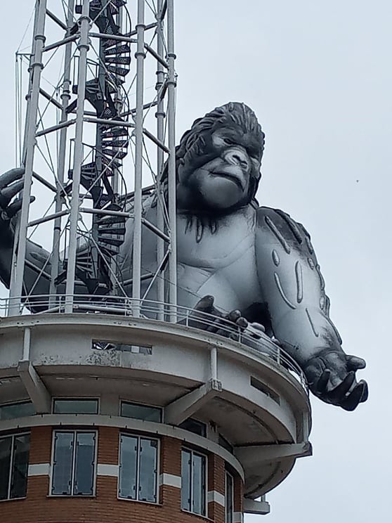 king-kong-apeldoorn-3.jpg