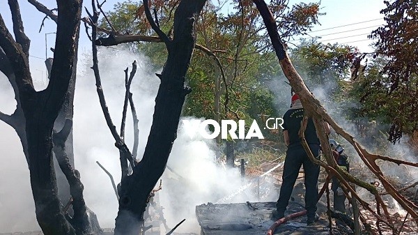 voria-2.jpg