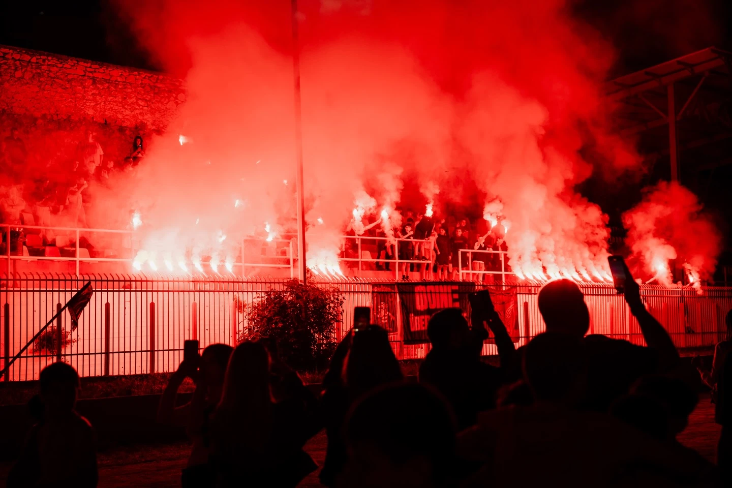 finikas-polikhnis.jpg?v=0