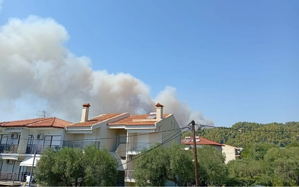 fotia-1.jpg