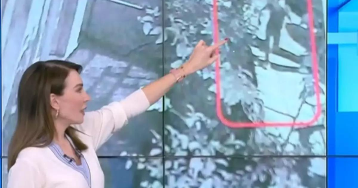 Θεσσαλονίκη: Καρέ – καρέ όσα συνέβησαν το μοιραίο βράδυ που έχασε τη ζωή της η 41χρονη έγκυος – Φωτογραφικά ντοκουμέντα