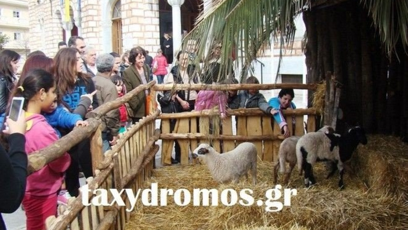 Ο Μπέος έστησε φάτνη με αληθινά ζώα και τον πήγαν στο Α.Τ.