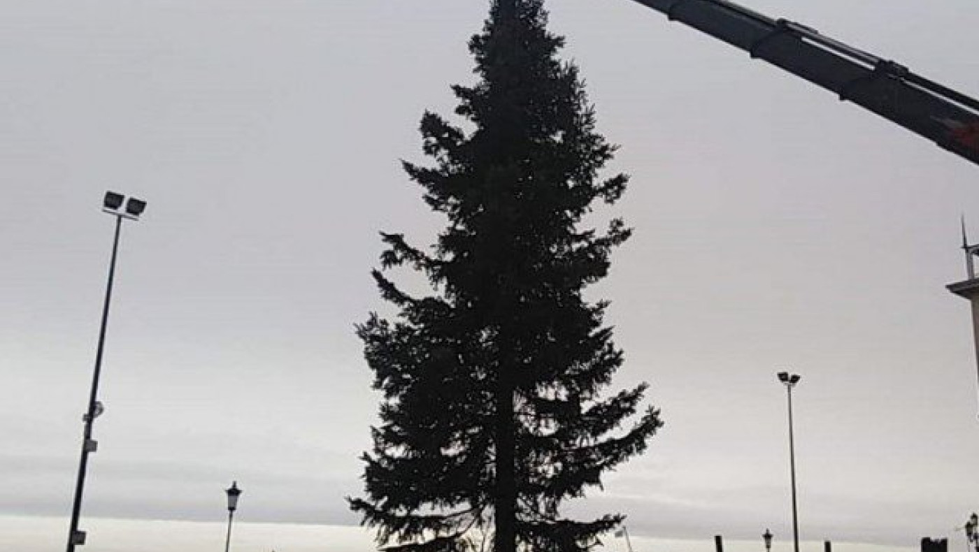 Σε χριστουγεννιάτικους ρυθμούς η πόλη - Στήνουν το δέντρο Αριστοτέλους