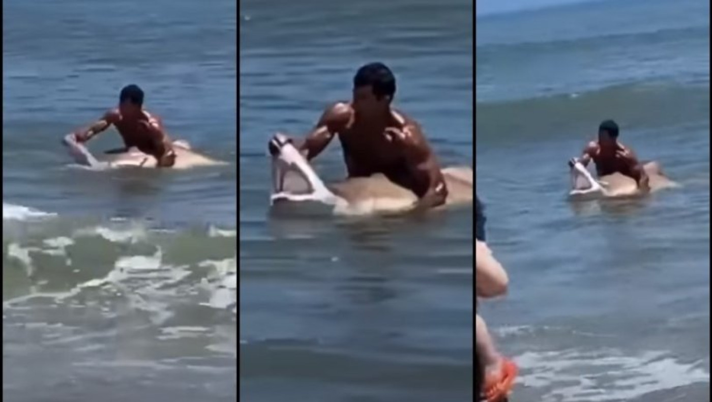 Θαρραλέος κολυμβητής πιάνει καρχαρία και του ανοίγει τα σαγόνια