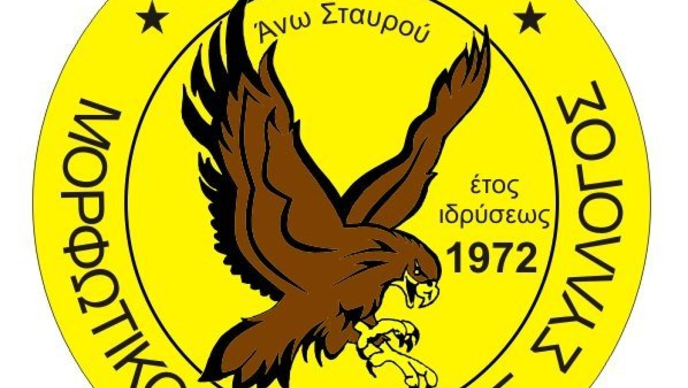 Χωρίς Αετό Α. Σταυρού τα Πρωταθλήματα