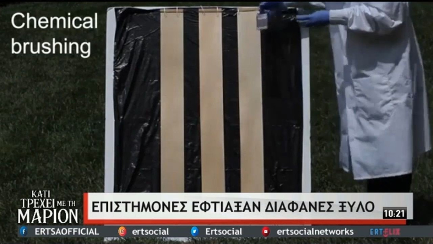 Επιστήμονες έφτιαξαν διαφανές ξύλο