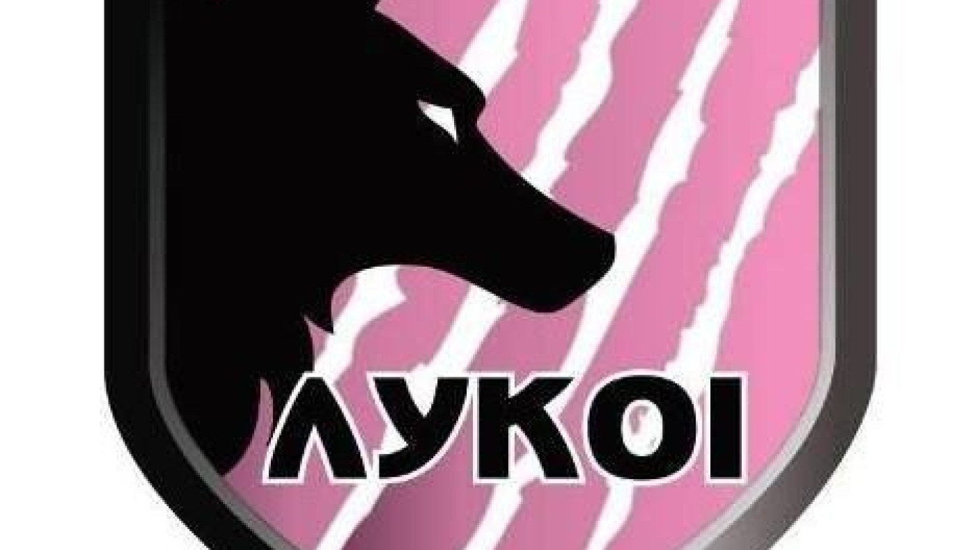 Συμμετοχή των Λύκων στον καθαρισμό του δασυλλίου της Πολίχνης