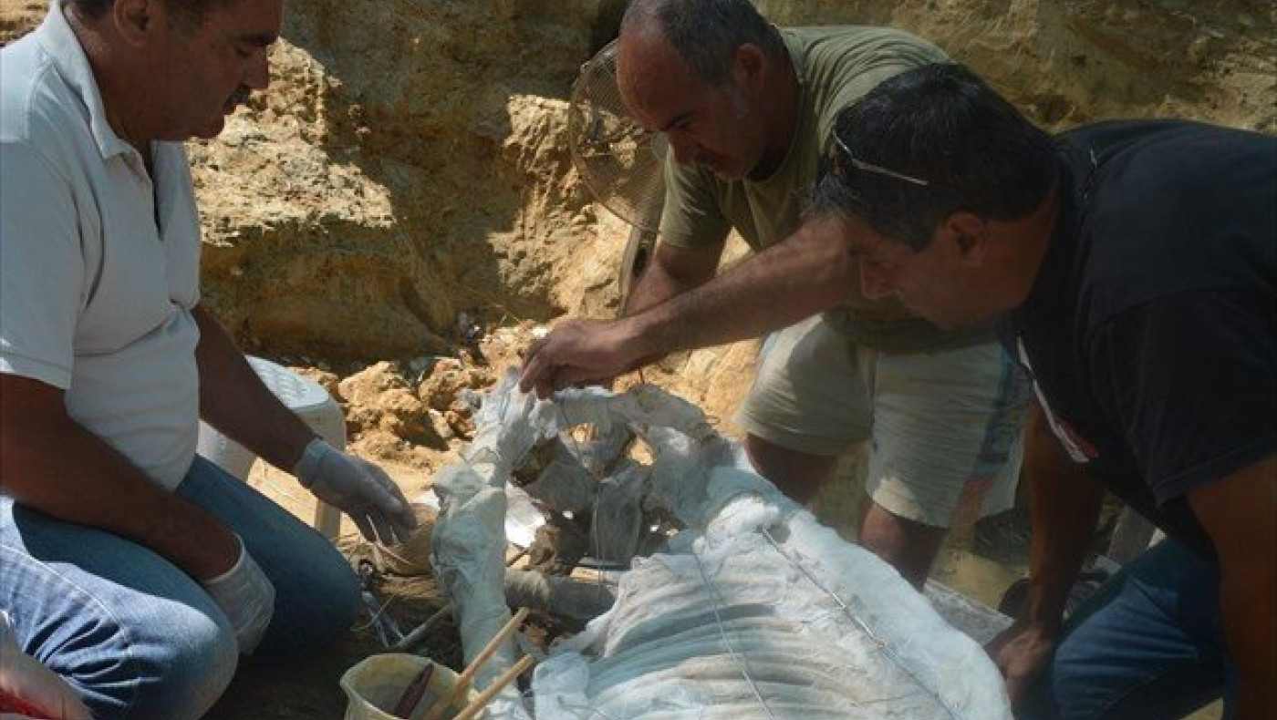 Αποκαλύφθηκε στη Χίο τμήμα αρχαϊκής νεκρόπολης του 7ου και 6ου π.Χ. αιώνα