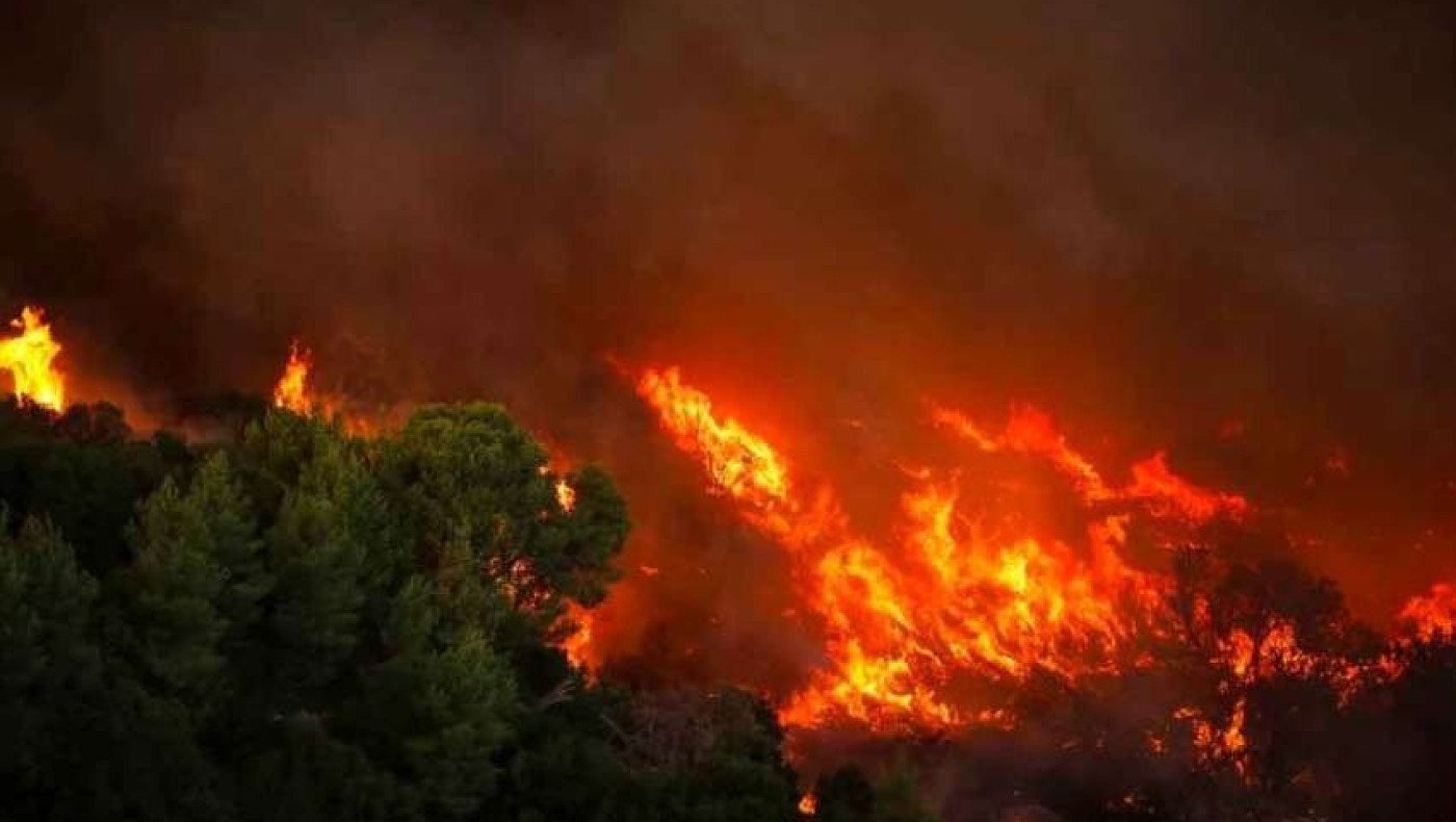 Χοροπηδούν στις στάχτες