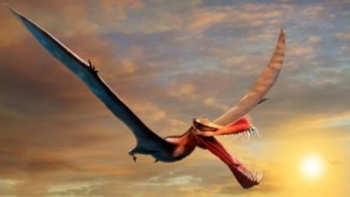 Εντυπωσιακή ανακάλυψη στην Αυστραλία: Βρέθηκε «δράκος» με άνοιγμα φτερών 23 πόδια!