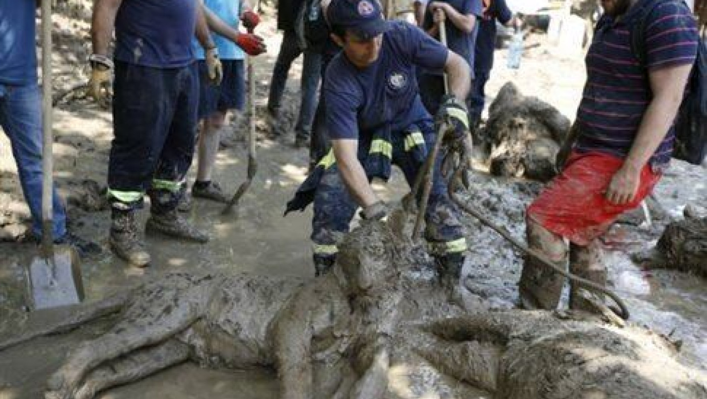 Τιφλίδα: Αιματηρή κατάληξη είχε η απόδραση άγριων ζώων από το ζωολογικό κήπο