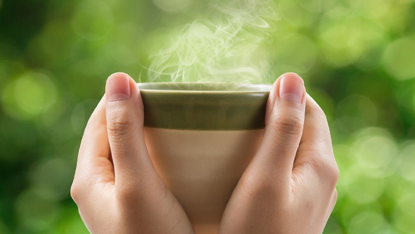 Το αρωματικό βότανο που ενισχύει μνήμη και διάθεση – Προστατεύει και από τη νόσο Αλτσχάιμερ