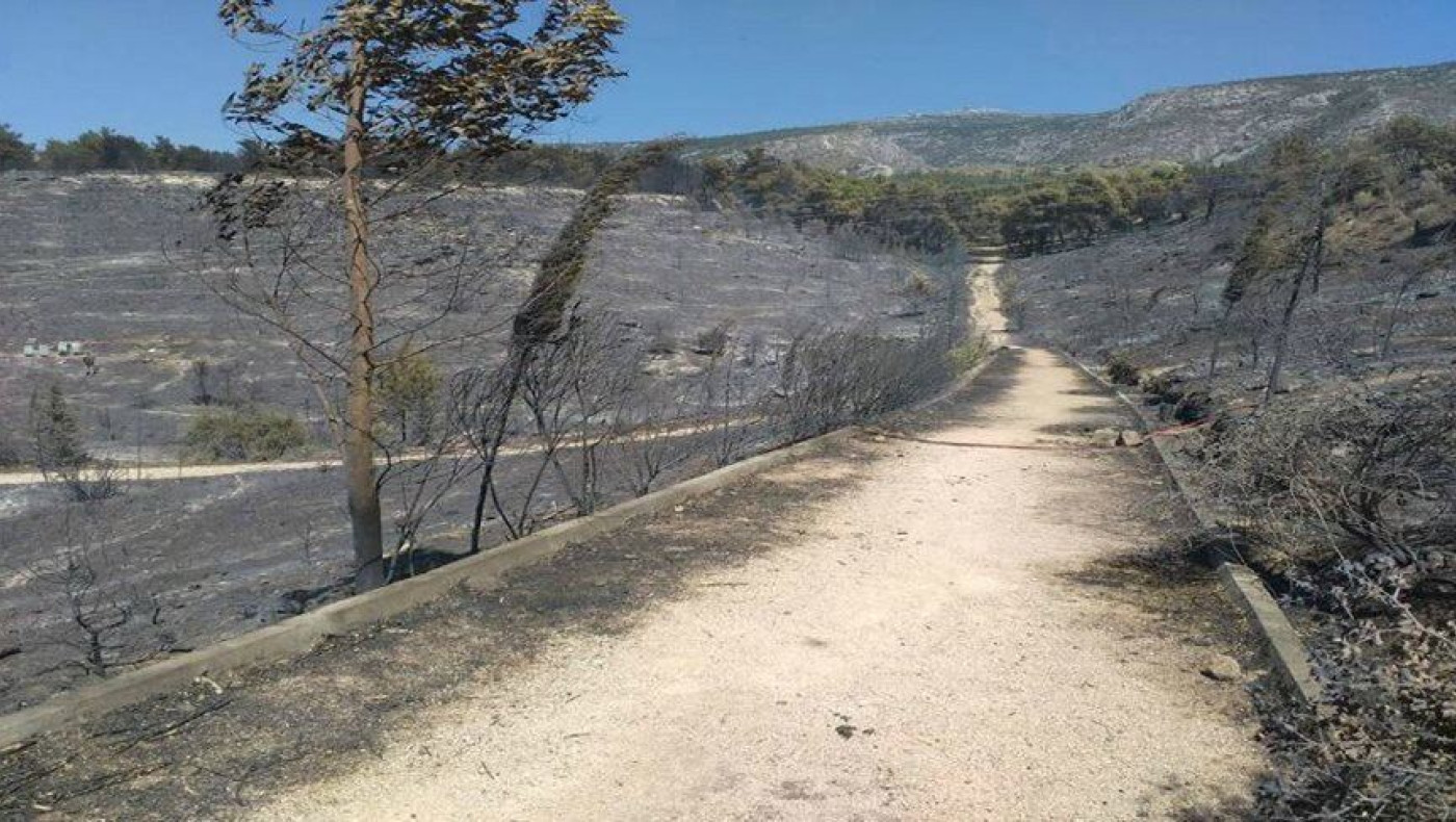 Έγκλημα εκ προμελέτης οι πυργαγιές...(;)