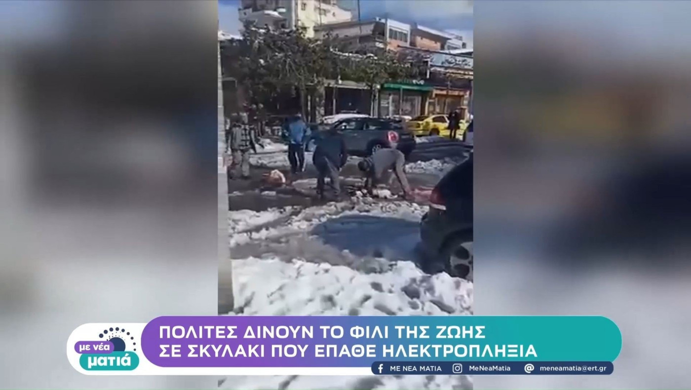 Ελληνικό: Πολίτες προσπάθησαν να σώσουν σκυλάκι που έπαθε ηλεκτροπληξία