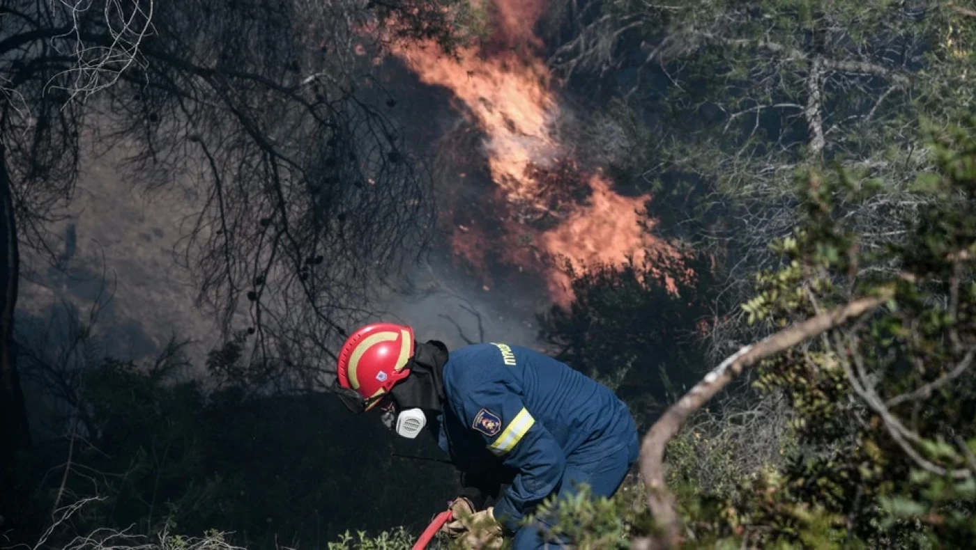 Δασικές πυρκαγιές: Γιατί είναι συχνότερες και μεγαλύτερες παγκοσμίως