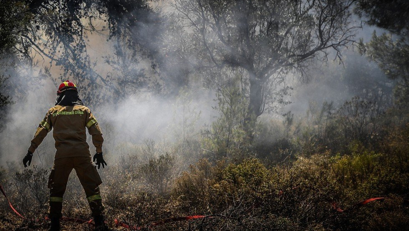 Καβάλα: Συναγερμός για φωτιά σε δάσος στο Χρυσόκαστρο – Κοντά σε σπίτια οι φλόγες