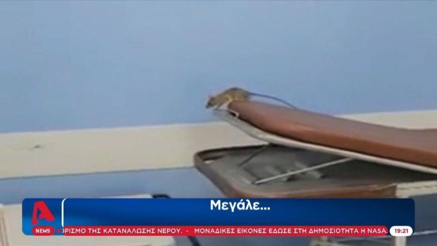 Αδιανόητο βίντεο: Ποντίκι κάνει...βόλτες σε νοσοκομείο