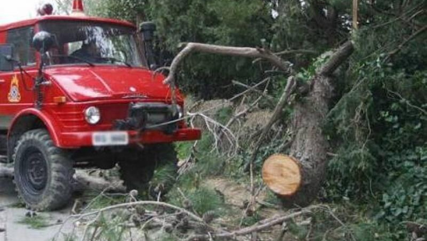 ΤΩΡΑ: Κλειστός ο δρόμος πριν από τη Φούρκα Χαλκιδικής λόγω πτώσης δέντρου