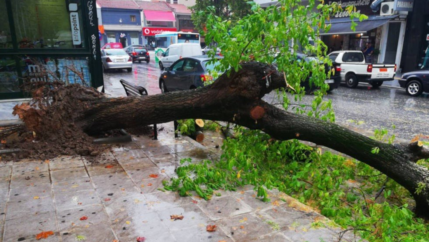 Θεσσαλονίκη: Πτώσεις δέντρων και λαμαρινών λόγω των ισχυρών ανέμων – Συναγερμός στην Πυροσβεστική