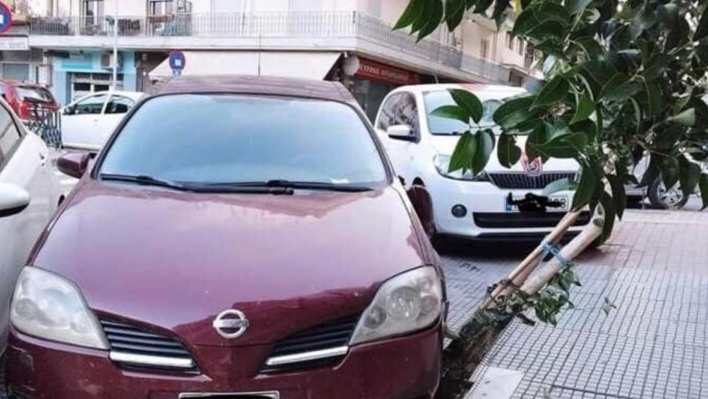 Θεσσαλονίκη: Πάρκαρε το αυτοκίνητό του πάνω σε κορμό δέντρου
