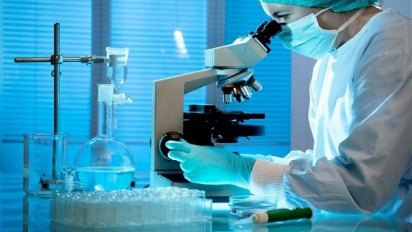 Γαλλία - Ιντερπόλ: Έστειλαν δείγματα DNA στην ΕΛΑΣ για έρευνα