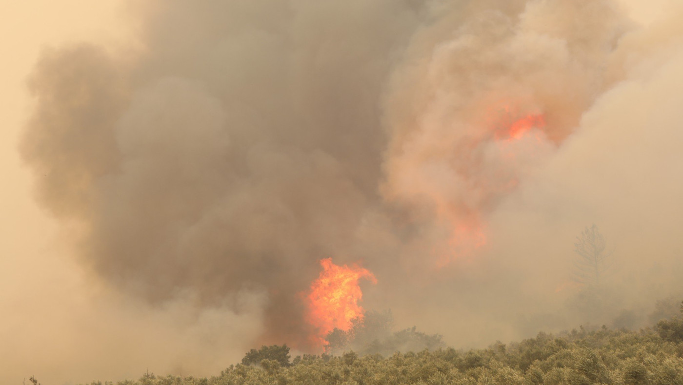 ΣΟΚ! Τουλάχιστον 18 νεκροί μετανάστες στο δάσος της Δαδιάς