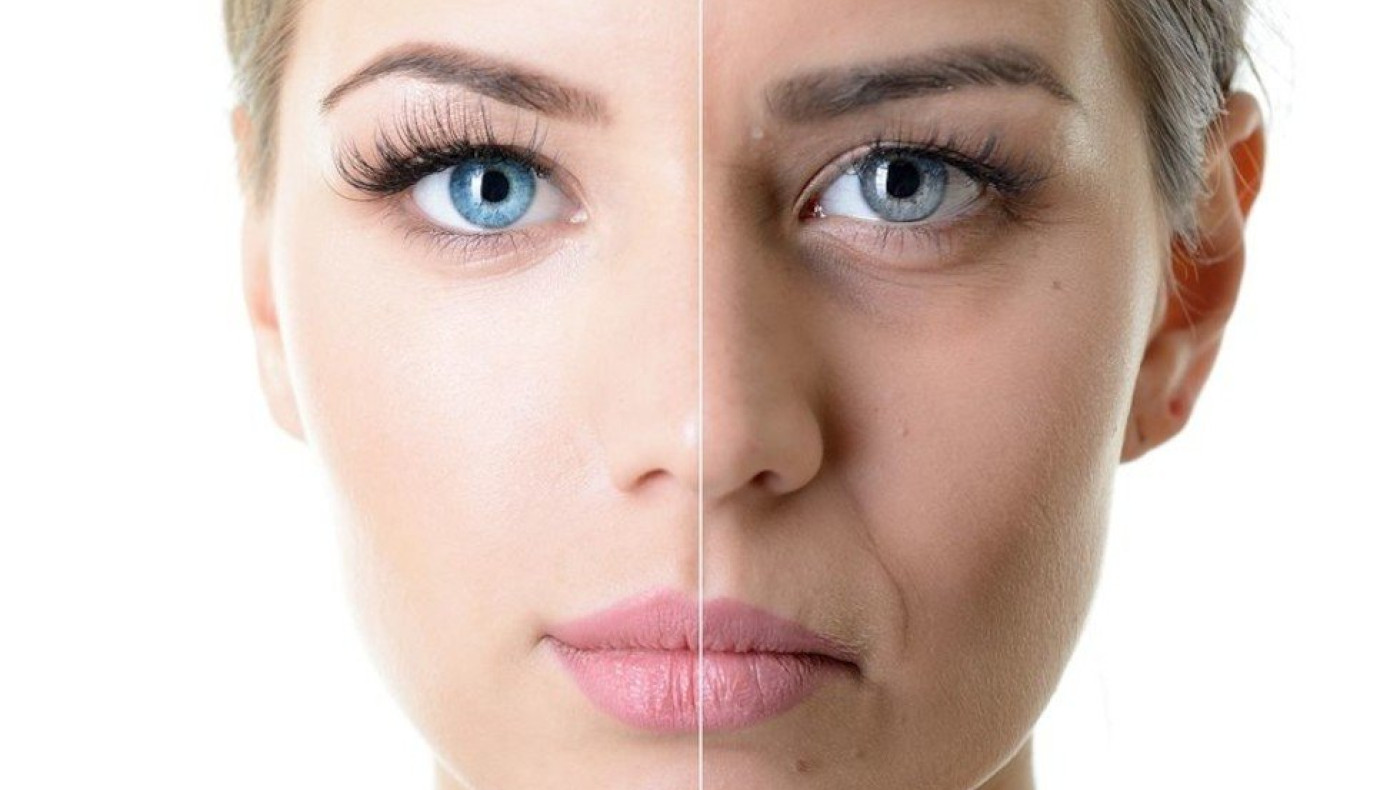 Το μυστικό της μακροζωίας-Ποιες πρωτεΐνες επιβραδύνουν τη γήρανση