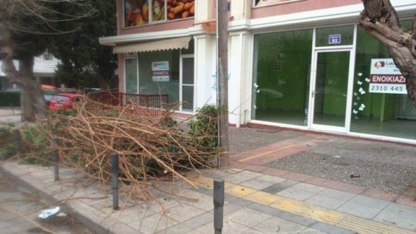 Καλαμαριά: Κίνδυνος για τους διερχόμενους τα πεταμένα κλαριά
