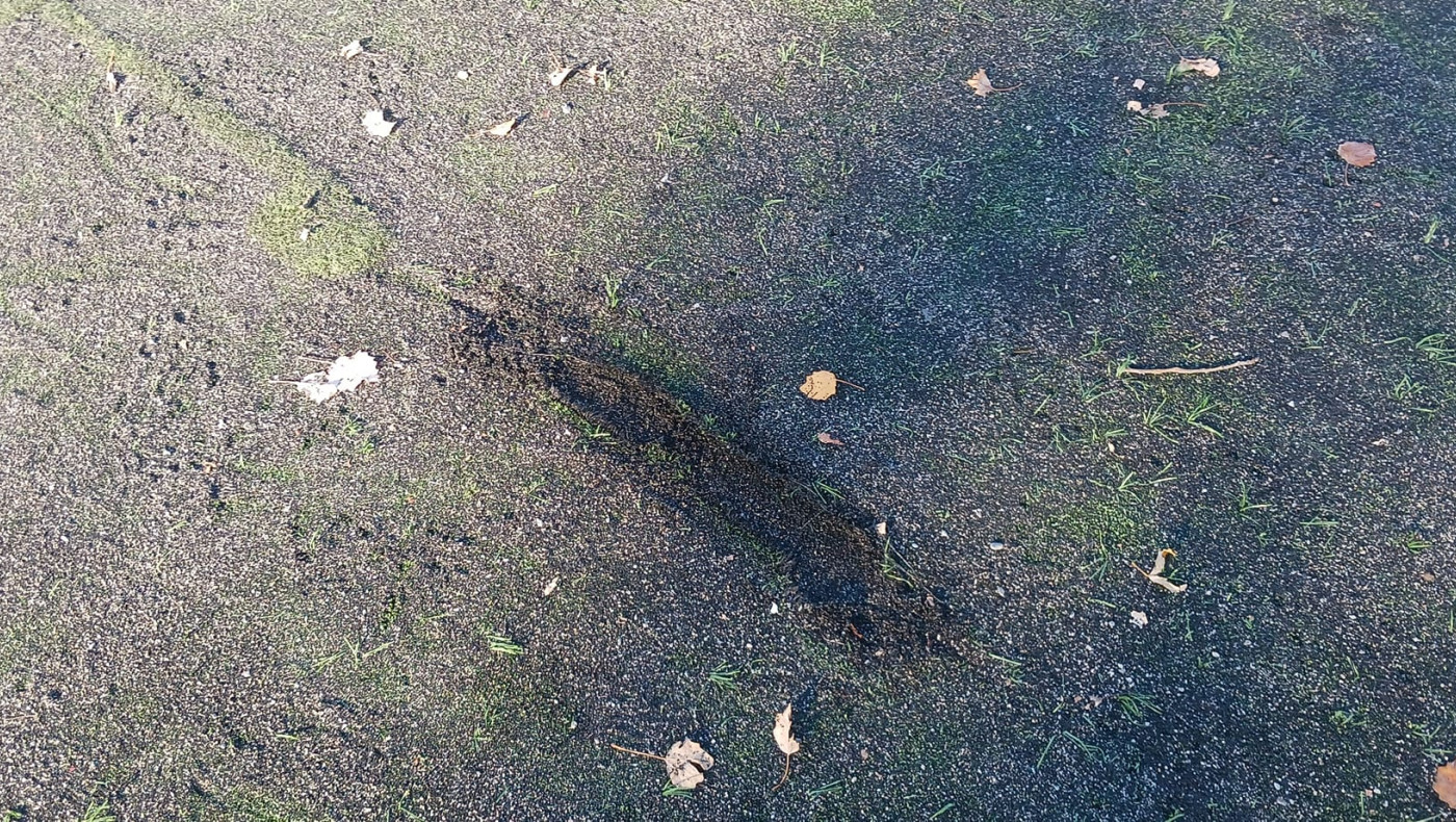 Αγγελοι Φοίνικα: Κλείστε το γήπεδο του Αγ. Γεωργίου Ν. Κρήνης ή φτιάξτε το