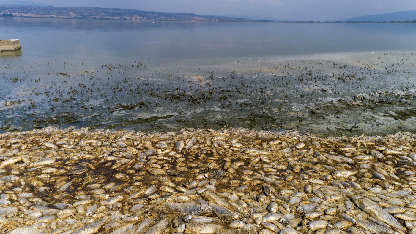 Σε δραματική κατάσταση η Λίμνη Κορώνεια - Κραυγή αγωνίας για να μη στερέψει