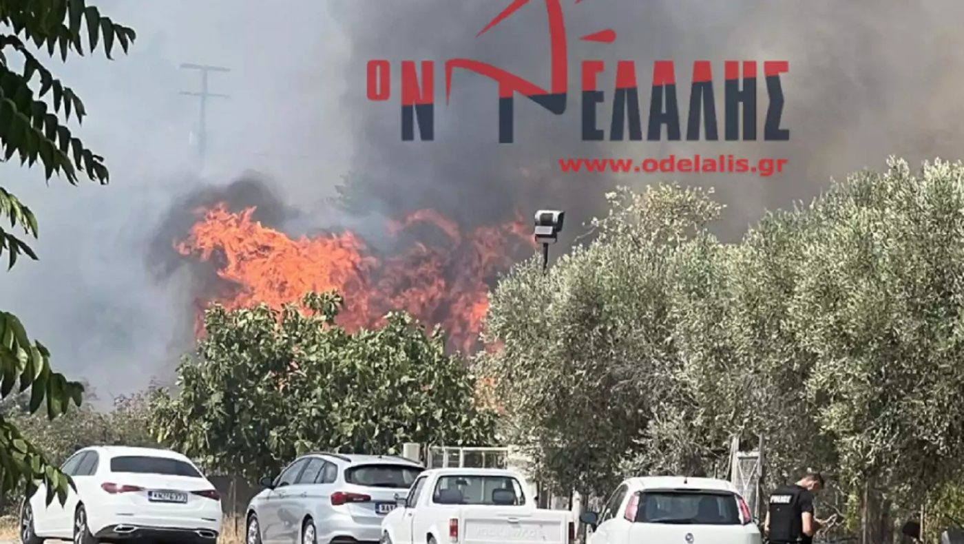 Πυρκαγιά στο Λιτόχωρο - Σηκώθηκαν αεροσκάφη και ελικόπτερο