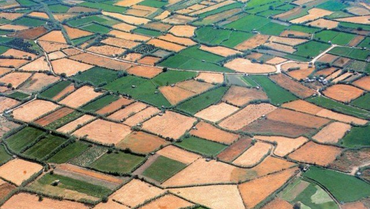 Εκτός συμπληρωματικού ΕΝΦΙΑ τα αγροτεμάχια - Σε πέντε δόσεις ο φόρος