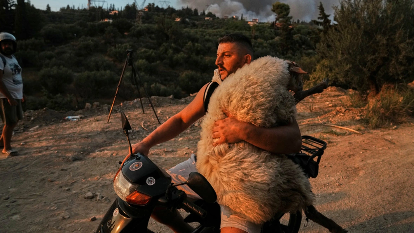 Αχαΐα: Ποιος είναι ο 33χρονος που έγινε viral στις πυρκαγιές