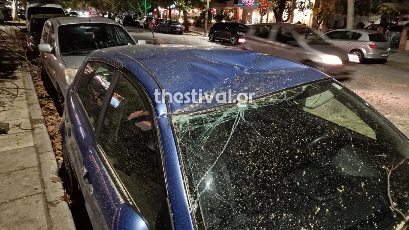 Θεσσαλονίκη: Δέντρο καταπλάκωσε σταθμευμένα αυτοκίνητα στην Τούμπα