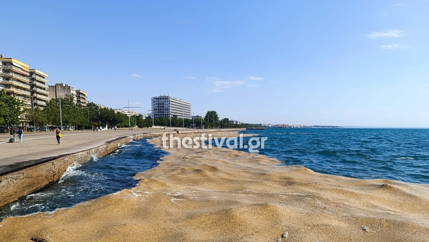 Θεσσαλονίκη: Επέστρεψε το φυτοπλαγκτόν στον Θερμαϊκό
