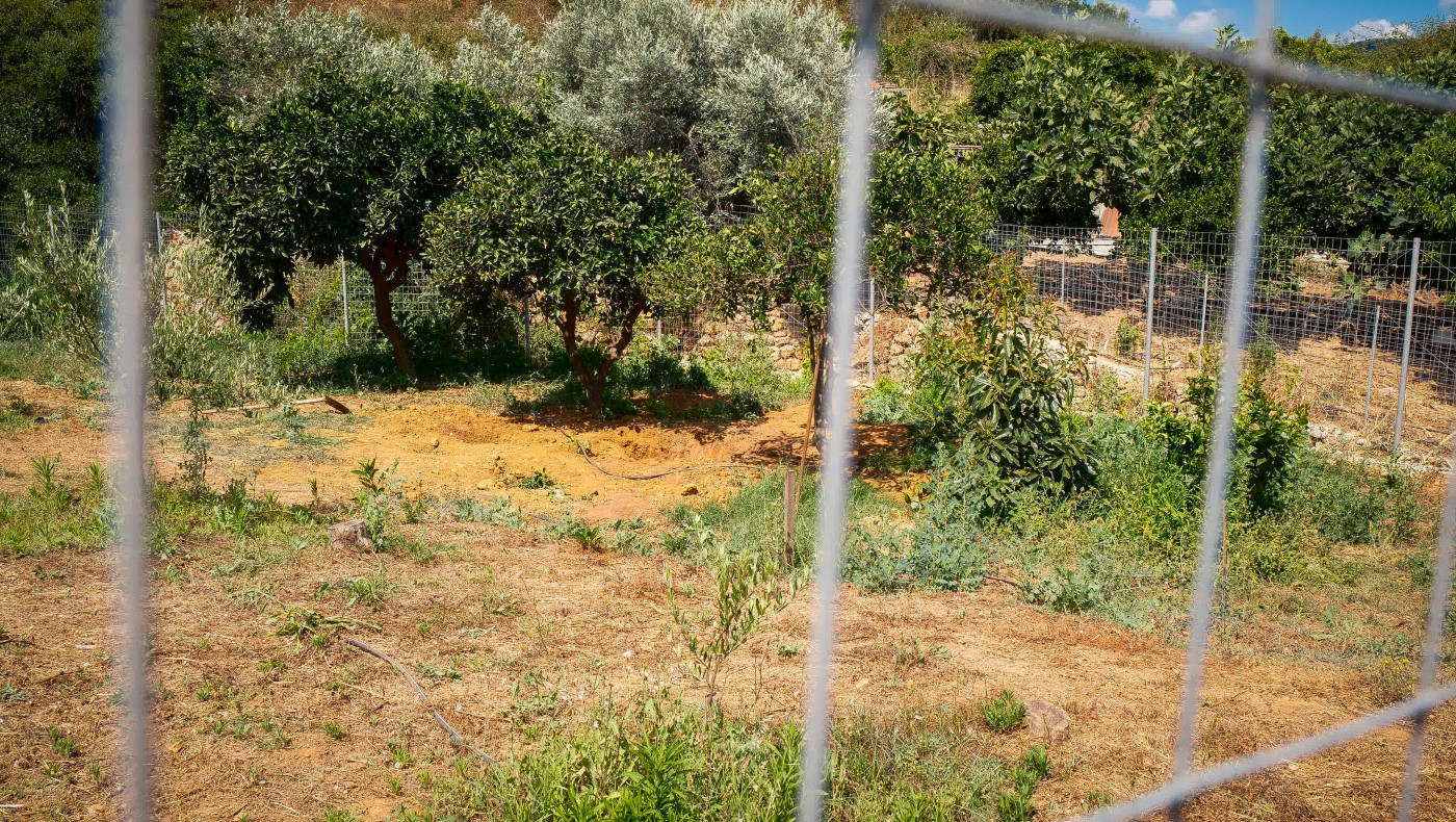 Κυνικός ο δολοφόνος της Σταυρούλας Λεβεντάκη: «Θα μπλέξω για μια τρελή»