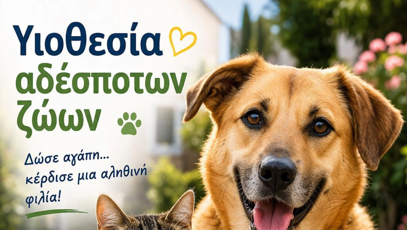 Υιοθετείς αδέσποτο – Πληρώνεις λιγότερα δημοτικά τέλη