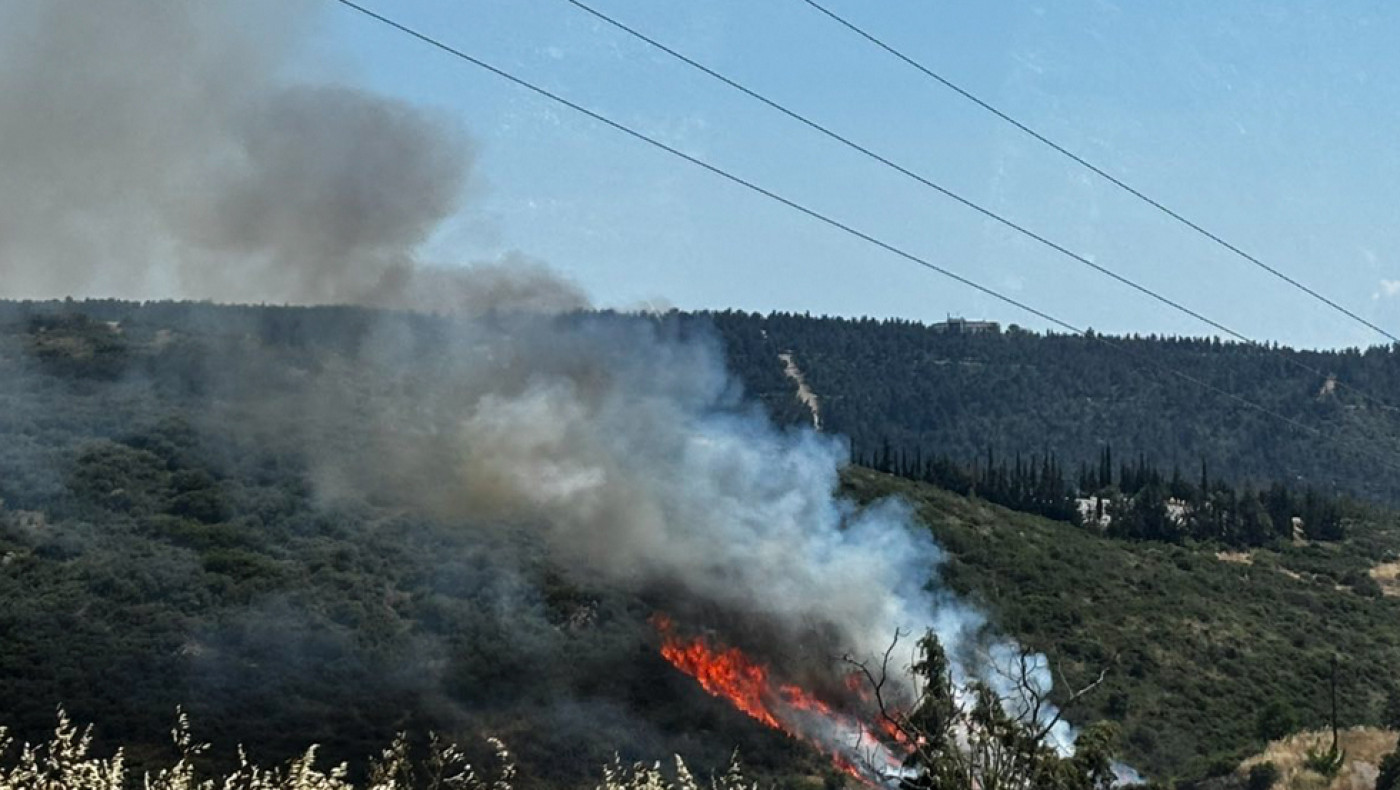 Θεσσαλονίκη: Οριοθετήθηκε η φωτιά στο Φίλυρο