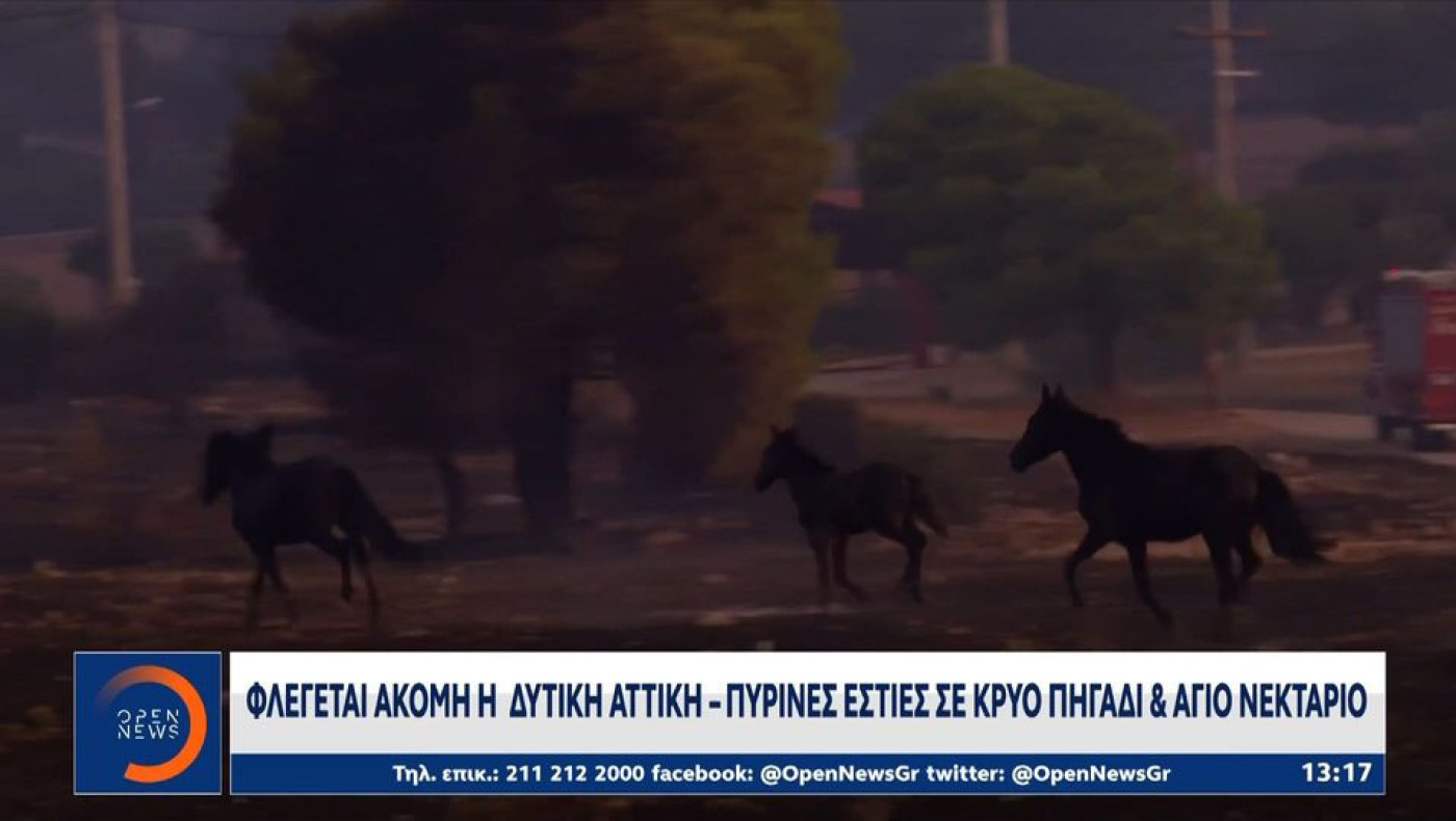 Δορυφορική ανάλυση: Πάνω από 126.000 στρέμματα κάηκαν σε Κιθαιρώνα και Άγιο Νικόλαο