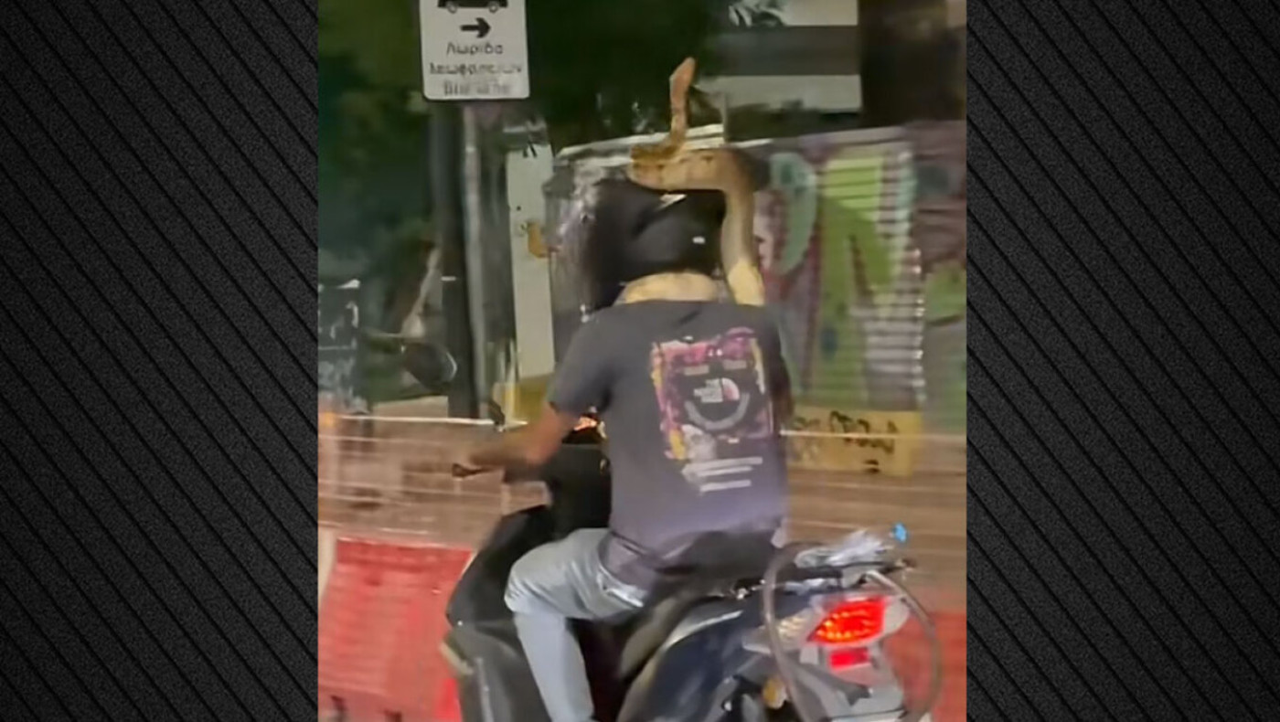 Οδηγός μηχανής κυκλοφορεί στο κέντρο της Αθήνας με ένα τεράστιο φίδι τυλιγμένο στον λαιμό του
