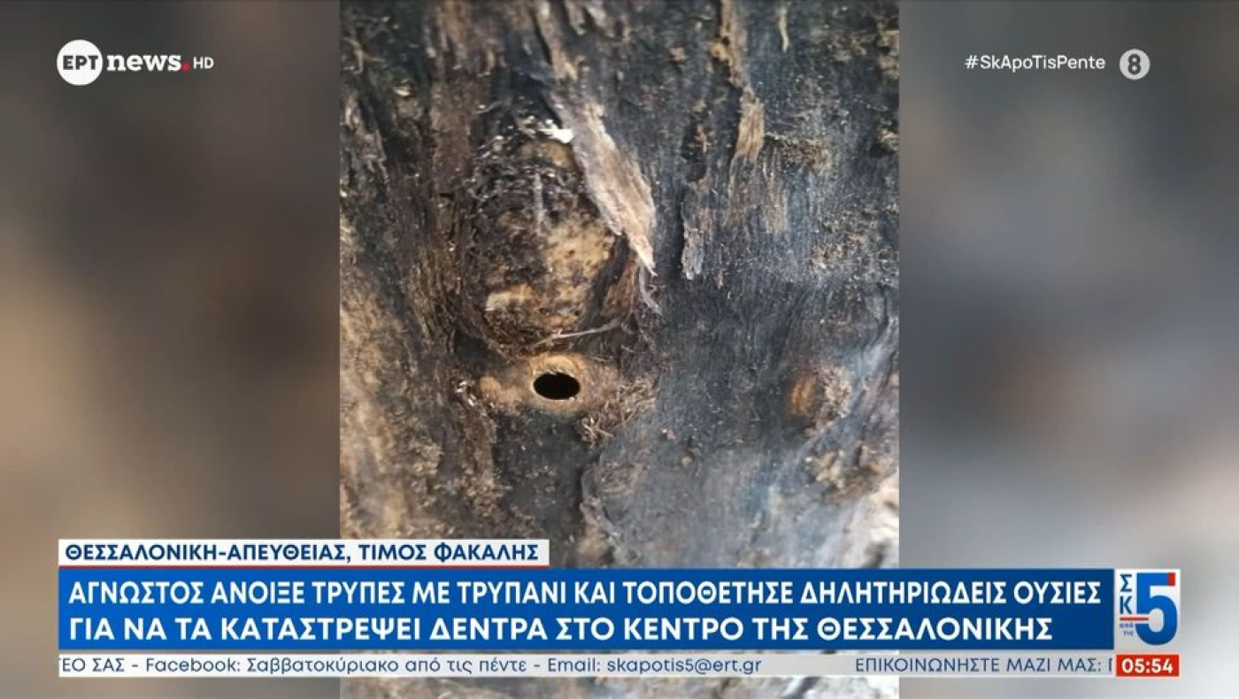 Θεσσαλονίκη: Τρύπησαν και δηλητηρίασαν δέντρα στο κέντρο της πόλης