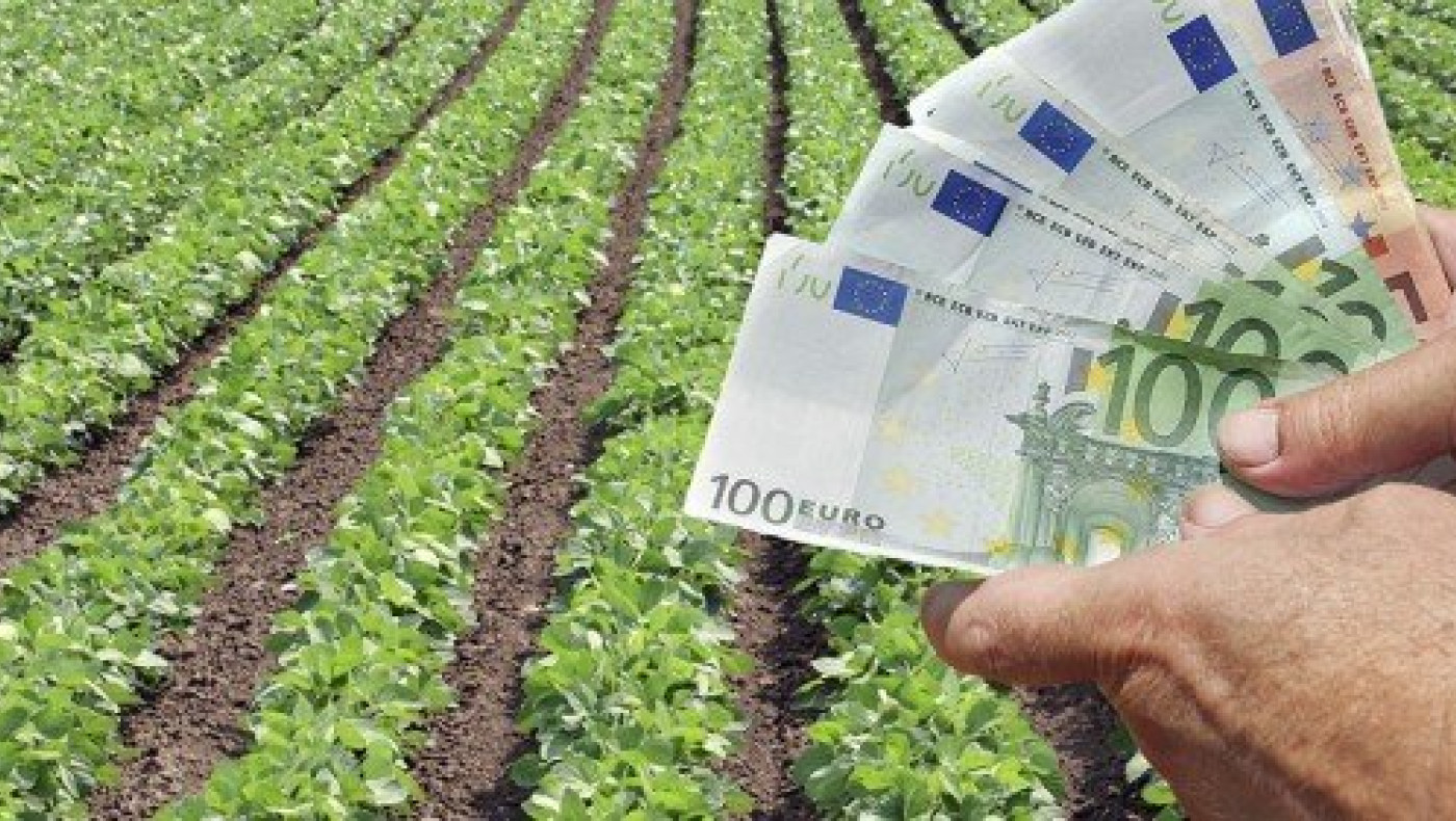 ΕΛΓΑ: Αποζημιώσεις 9,4 εκατομμυρίων ευρώ σε 5.000 αγρότες