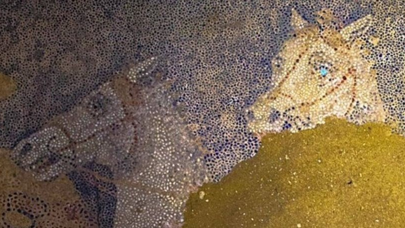 «Πρόκειται σίγουρα για βασιλικό τάφο»