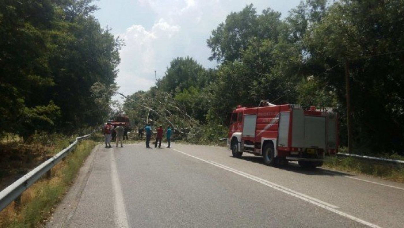 Θεσσαλονίκη: Νεκρός άνδρας από πτώση δέντρου στην Εγνατία Οδό