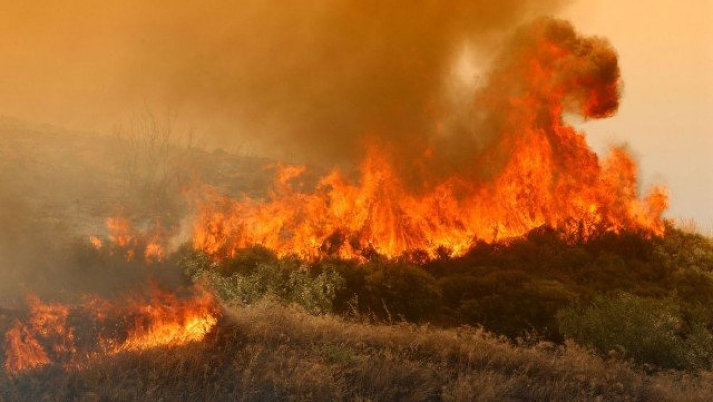 Συνελήφθη 46χρονος αλλοδαπός για τη μεγάλη πυρκαγιά στην Ηλεία
