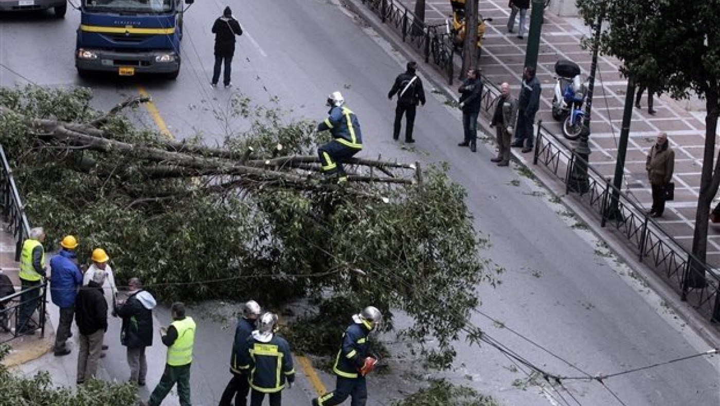 8 δέντρα έπεσαν από την κακοκαιρία στη Θεσσαλονίκη- Ζημιές σε ΙΧ
