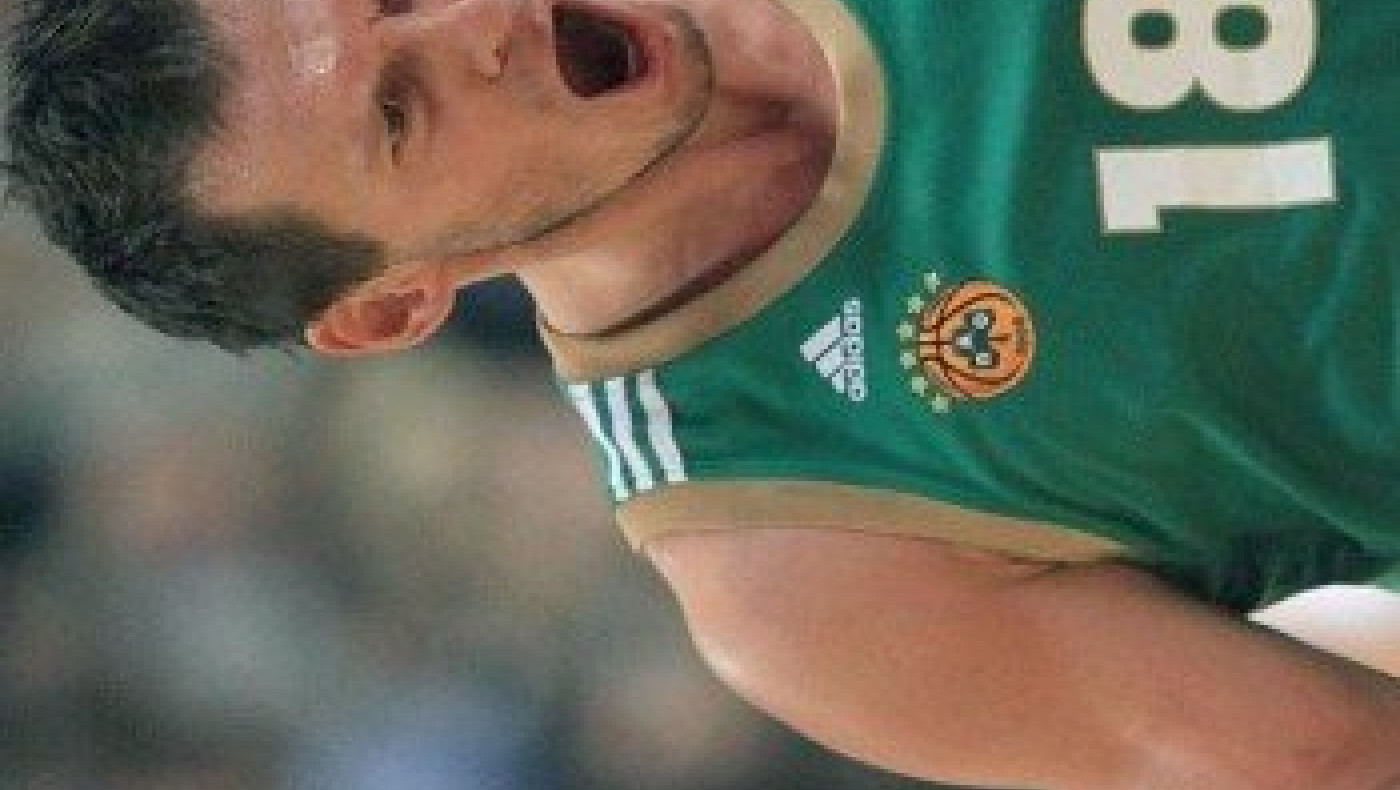 Μπλουμς διετίας