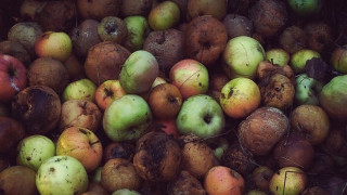 Ληγμένα τρόφιμα στα ξενοδοχεία Αγγλίας, Ιταλίας