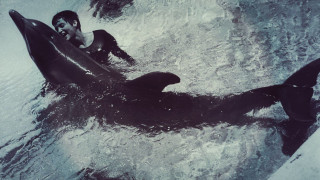 Η γυναίκα που έκανε σεξ με δελφίνι!