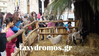 Ο Μπέος έστησε φάτνη με αληθινά ζώα και τον πήγαν στο Α.Τ.